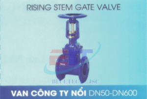 Van cổng ty nổi Shinyi