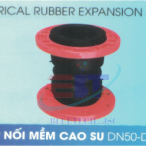 Khớp nối mềm cao su Shinyi