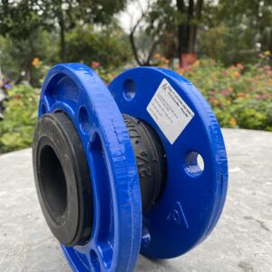Khớp nối mềm cao su Shinyi
