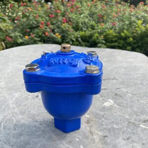 Van xả khí ARV